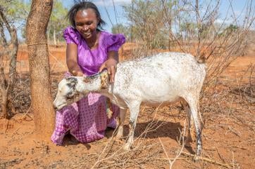Woman in pastoral setting with a goat.