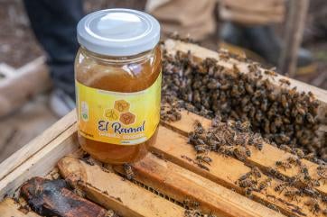 A jar of honey sits atop beehives that are owned by participants in a prosper global beekeeping entrepreneurship project. 
