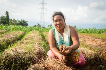 Santu once had a bountiful ginger harvest, but then lost it all to disease. A Prosper Global program helped her build back her farm and prepare for the future. Photo: Miguel Samper for Prosper Global