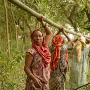 Women holding bamboo