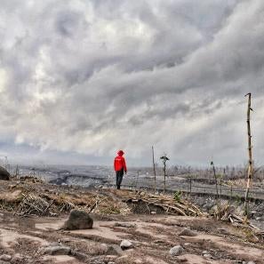 A person assessing the damage to farmland in supiturang village after the mount semeru eruption.