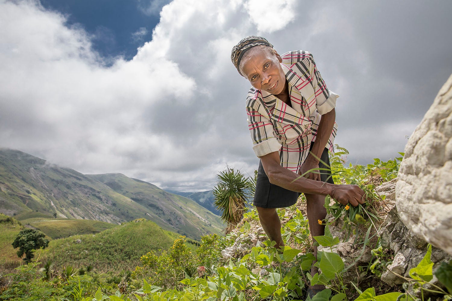 With Prosper Global's help, Neyis is replanting her crops after Hurricane Matthew destroyed them last year. 