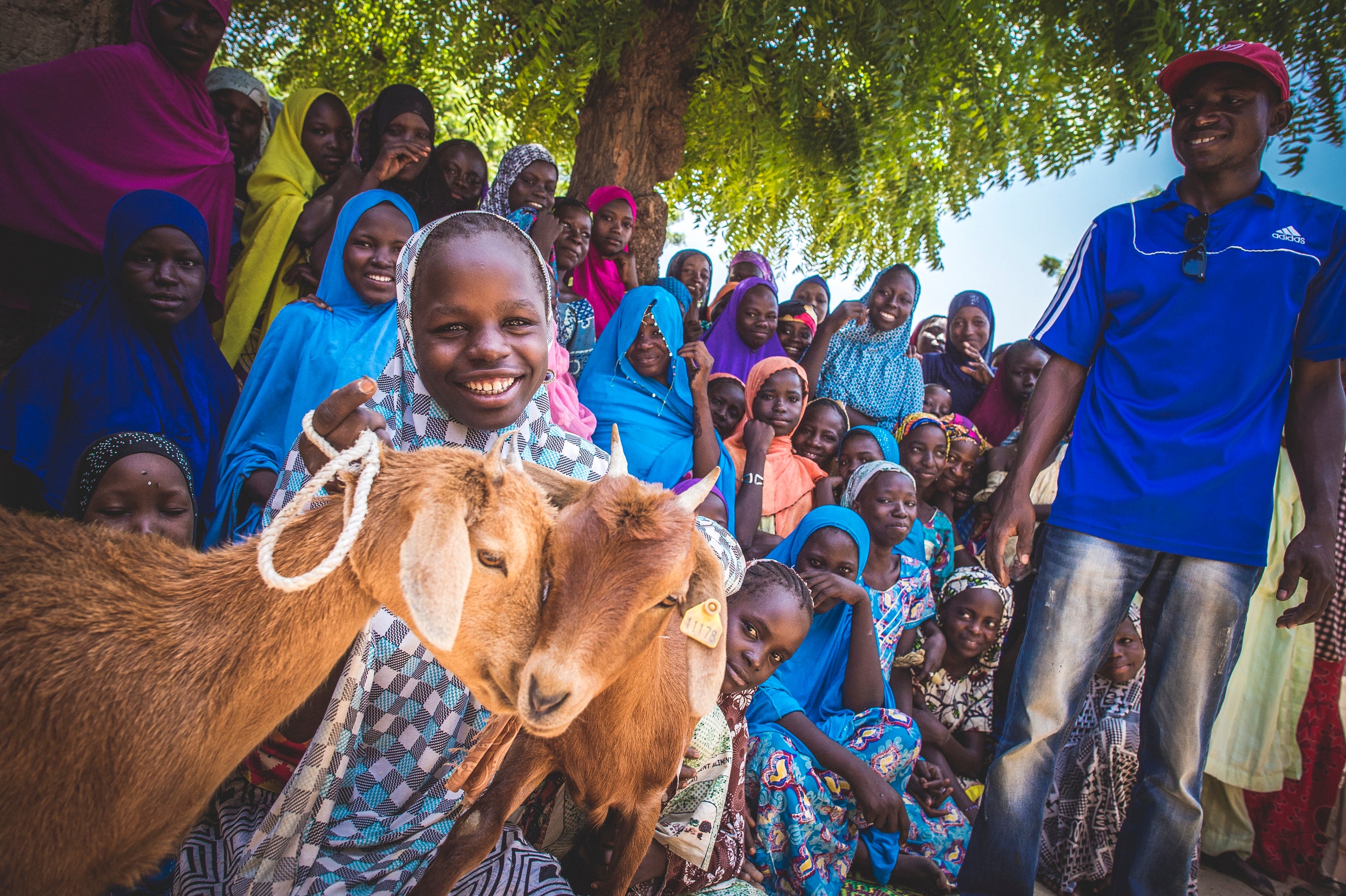 Rural Niger community and a young lady with goats.