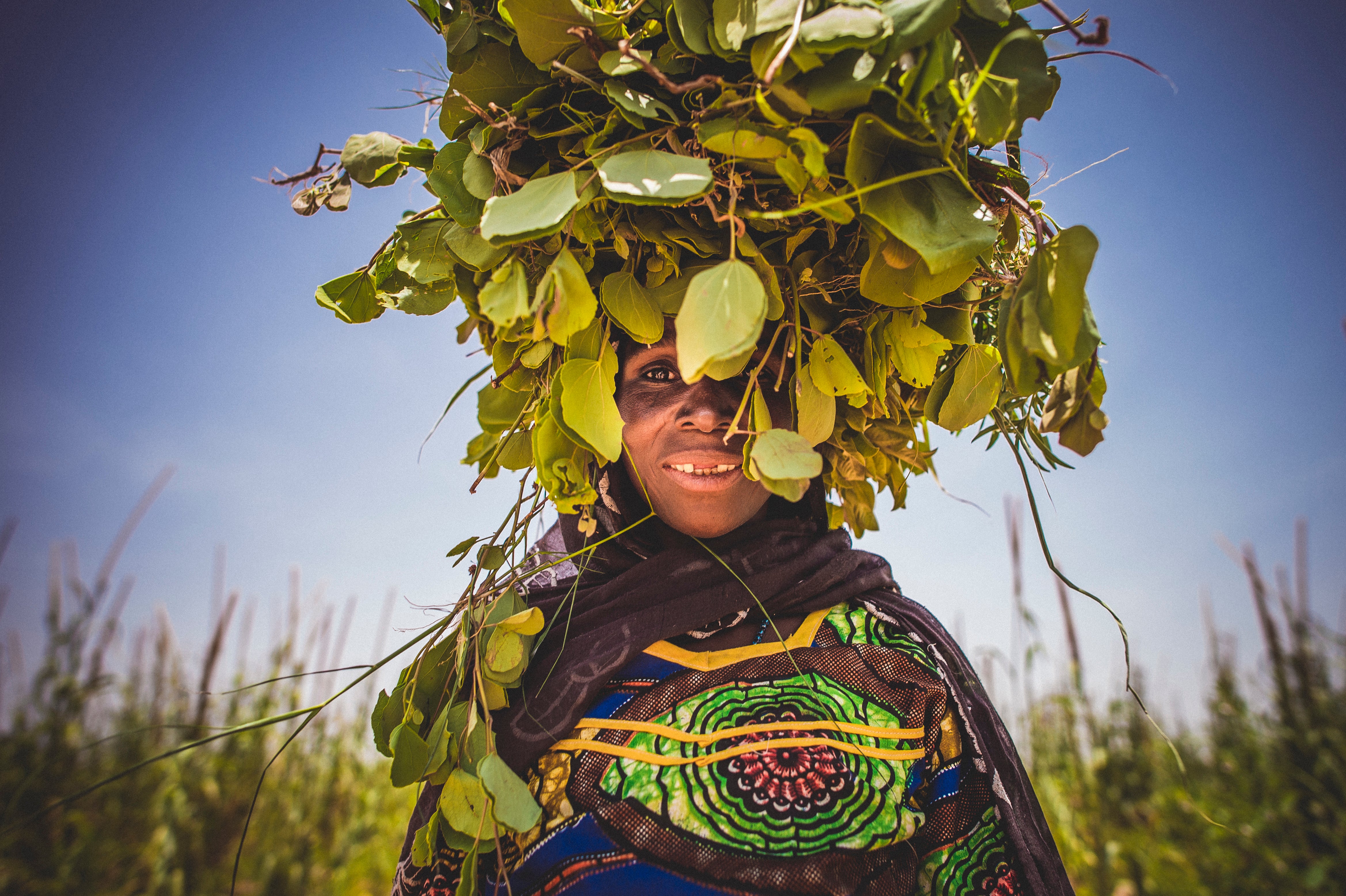 A woman in brightly colored clothing carries green cassia leaves in a bundle on her head in rural Niger. There is a blue sky behind her.