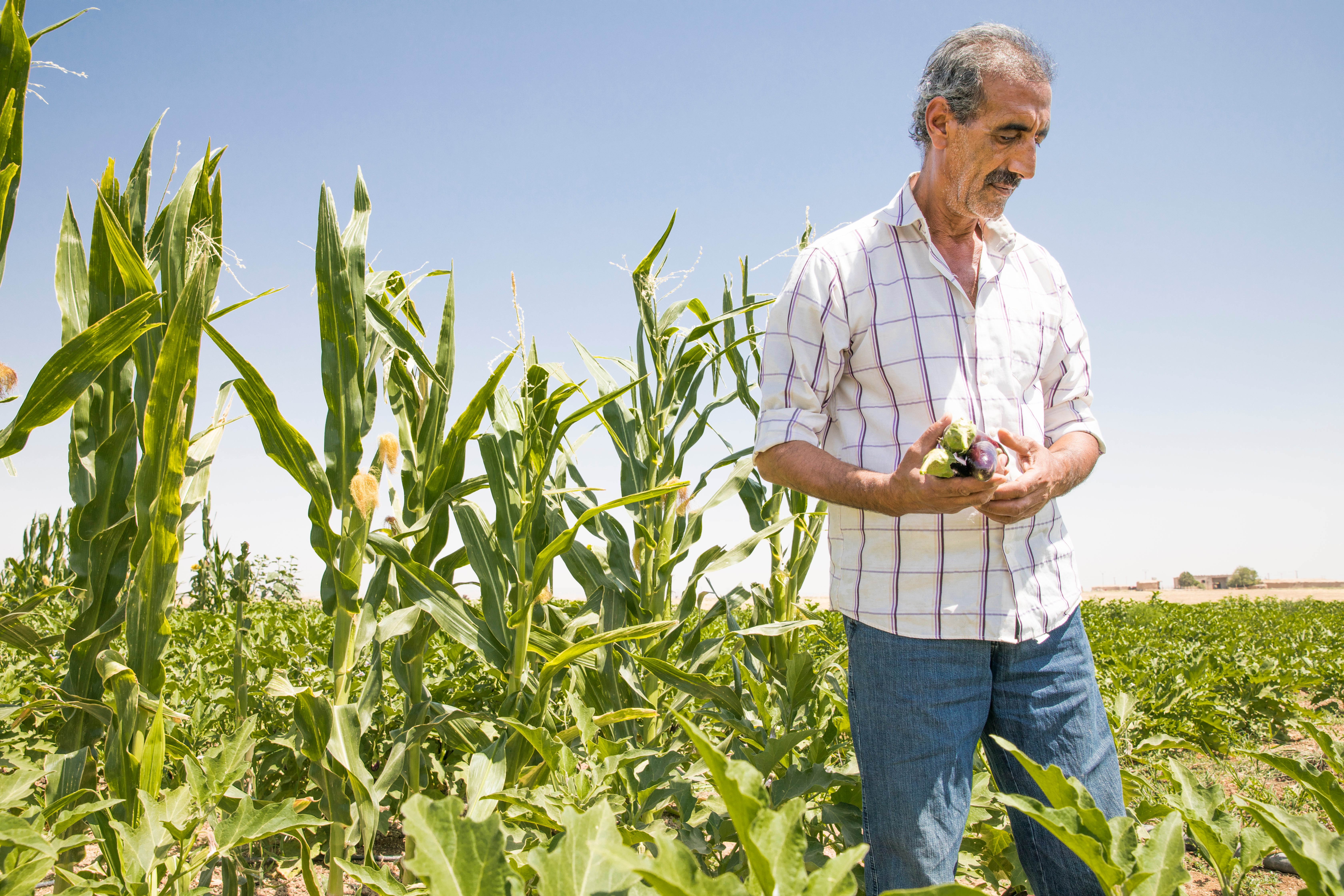 Abu Goubran pictured in a green field