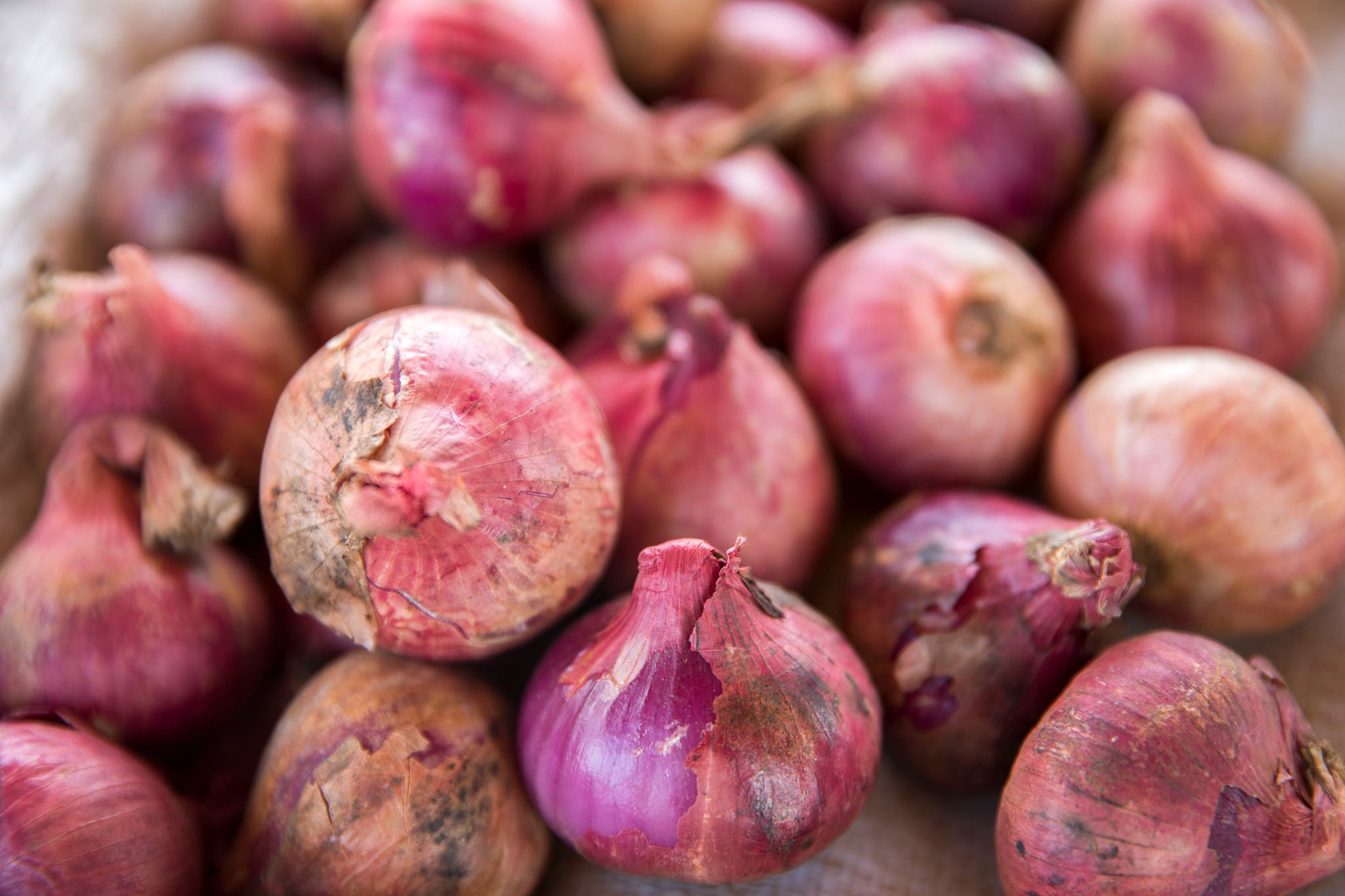 A pile of red onions.