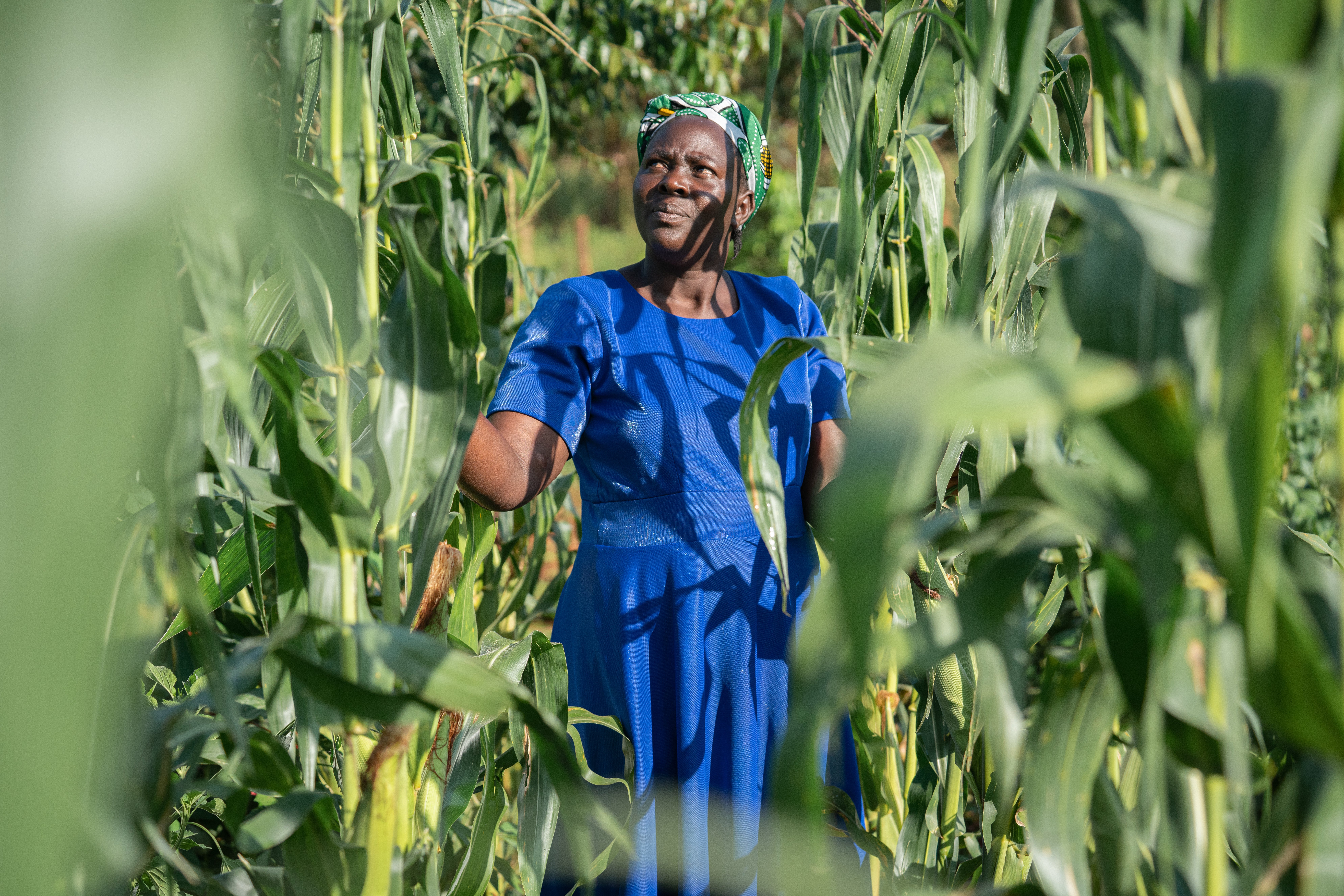 Smallholder farmer Rose Siama standing among crops.