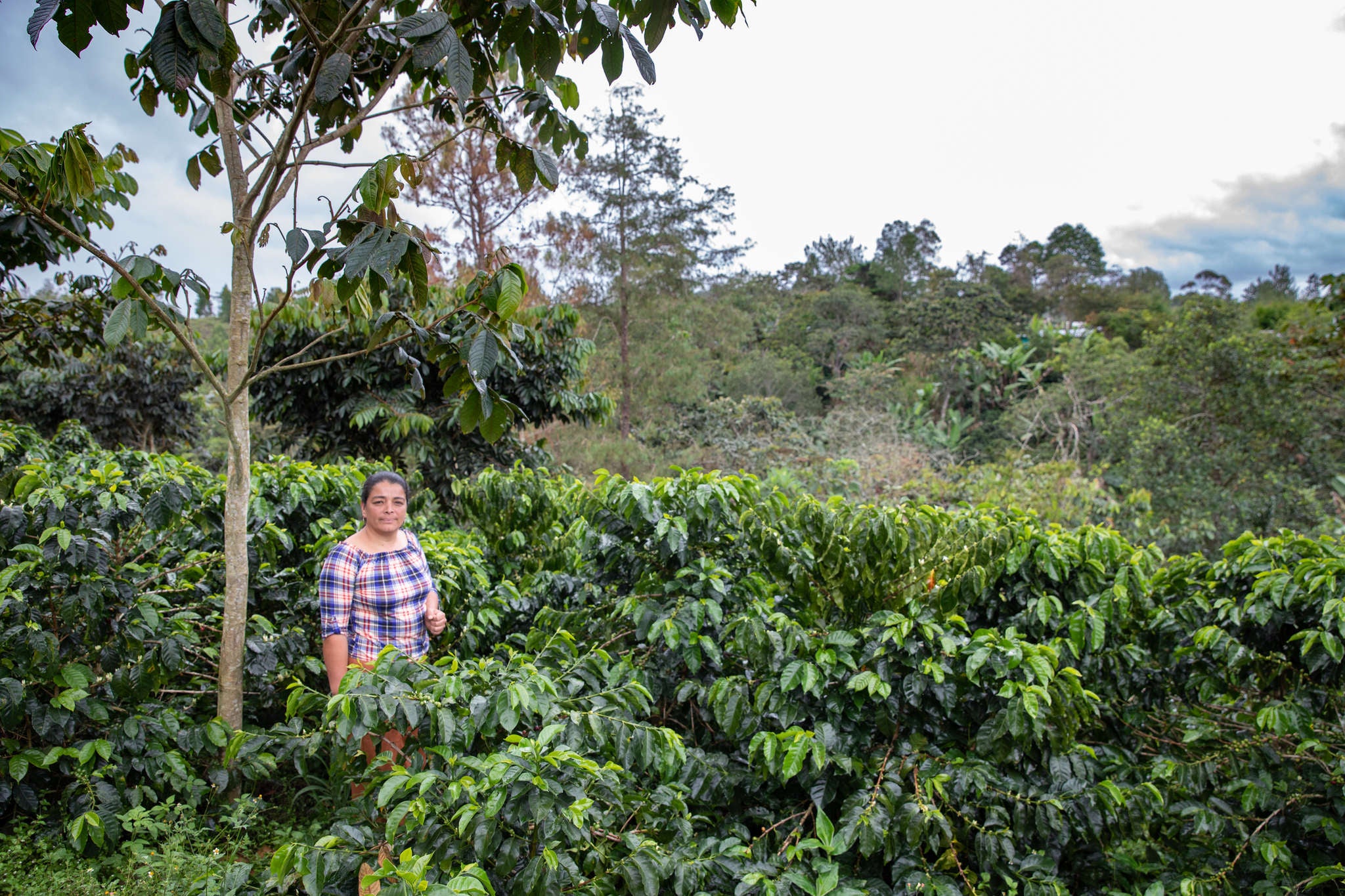 A land owner and farmer stand on their property in Colombia.