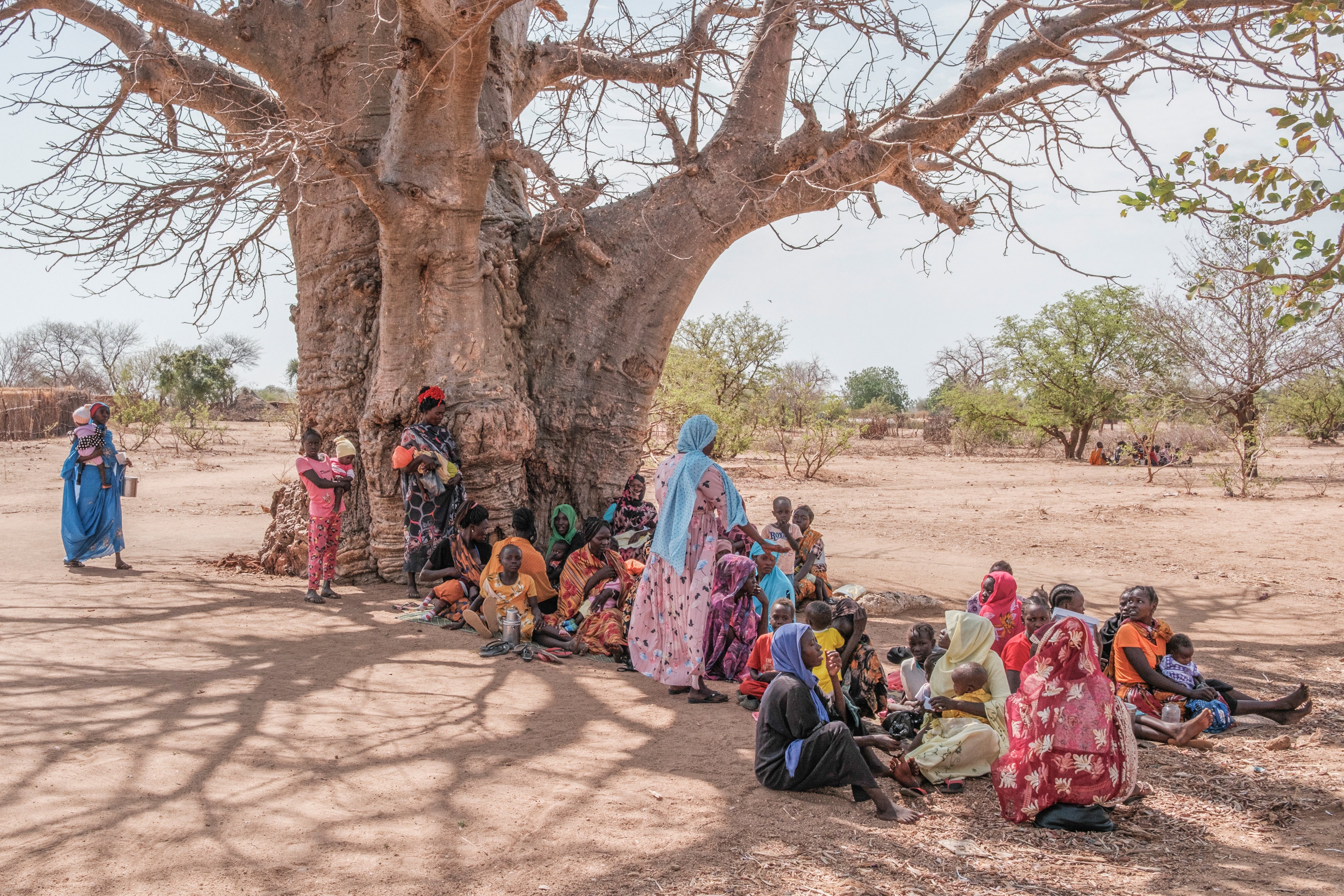 Women wait under the shade of a tree to register for food assistance.