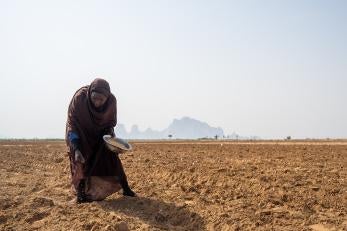 With reliable irrigation restored through the kalahoot canal, farmers in kassala can again sow seeds across their land for a diverse harvest.