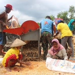 People working to remove hulls with a machine