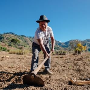 Natalio working soil with a hoe