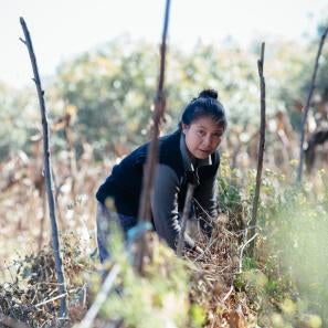 Olga, 16, attends a group training session at a demonstration plot in her community in guatemala. the agricultural education is part of prosper global’s initiative to give guatemalan youth alternatives to migration.