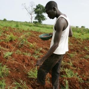 Young man farming