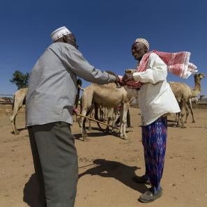 Two men shaking hands