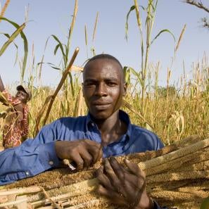 Farmer holding crops