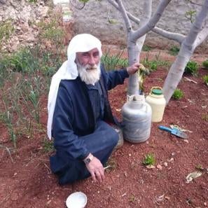 This farmer made pickled lettuce from his garden. prosper global trains syrian farmers to save the seeds from their vegetables to use again next season.