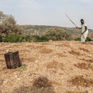 Sudanese woman working in agricultural setting.