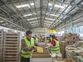 People packing food and supplies in a warehouse